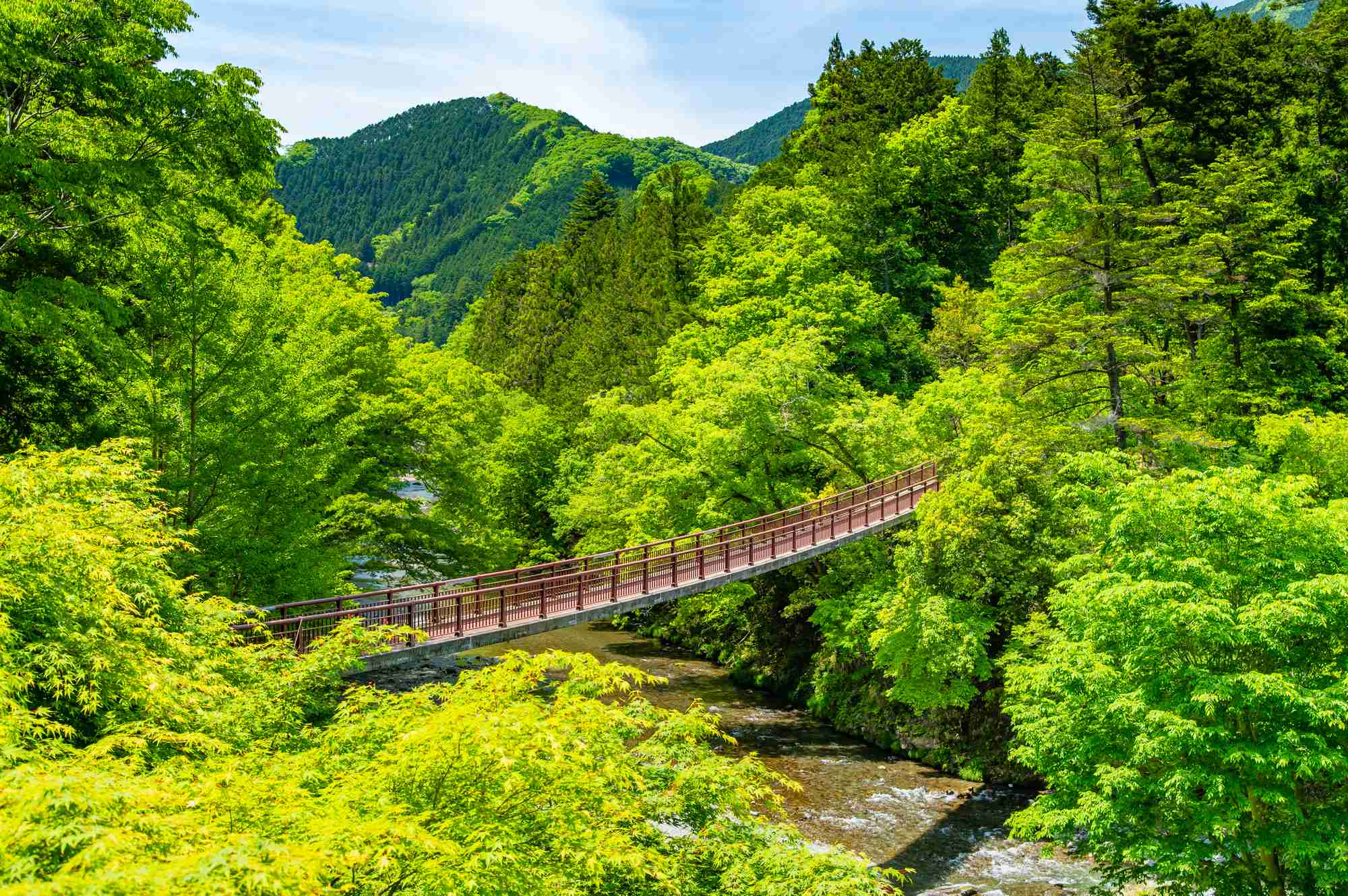 あきる野市の特徴
