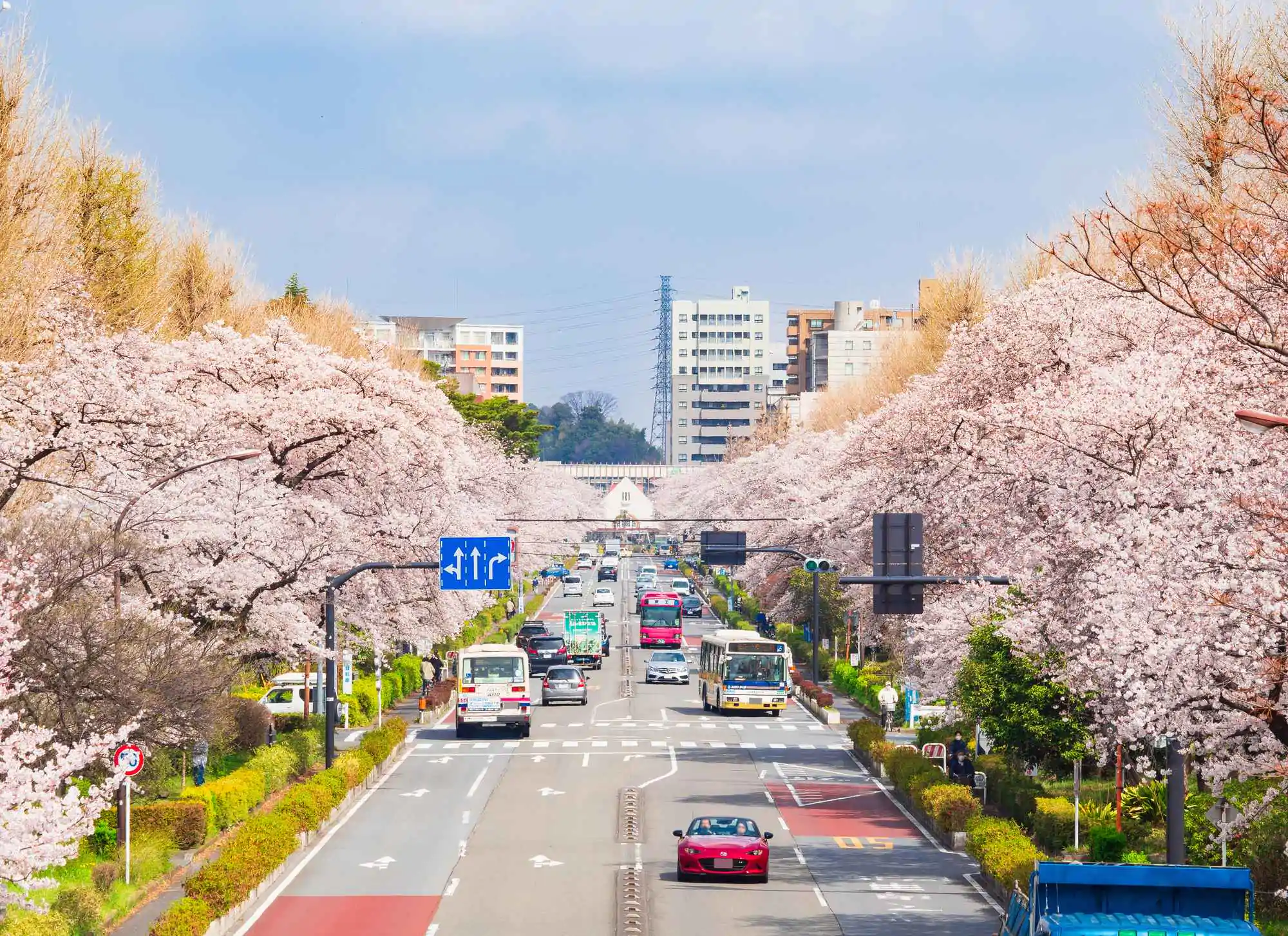 国立市の新築注文住宅・マンション・中古戸建てはどれがいいか